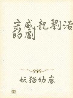 宋威龙刘浩存演的剧