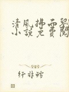 清风拂面刘张岚小说免费阅读封面