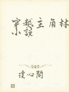 穿越主角林川的小说