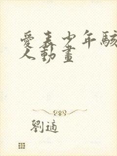 爱表少年骇客同人动画