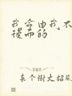 我命由我不由天后面的