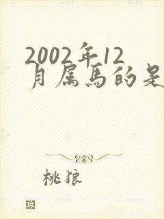 2002年12月属马的是命运怎么样
