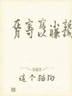 在家写小说一个月可以赚钱吗