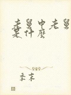 老舅中老舅结局是什么封面