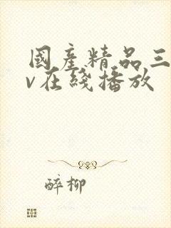 国产精品三级av在线播放