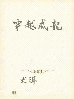 穿越成龙封面