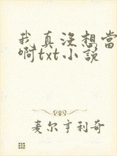 我真没想当皇帝啊txt小说