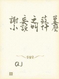 谢妄之苏暮云的小说叫什么