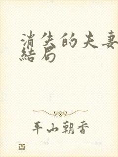 消失的夫妻凶手结局