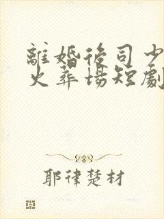 离婚后司少追妻火葬场短剧