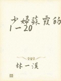 少妇苏霞的沉沦1一20