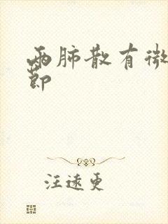 两肺散有微小结节封面