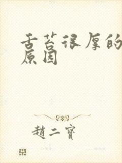 舌苔很厚的什么原因