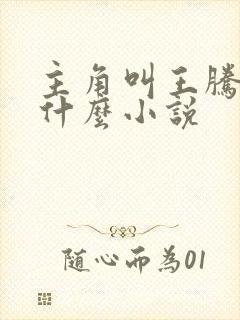 主角叫王腾的是什么小说