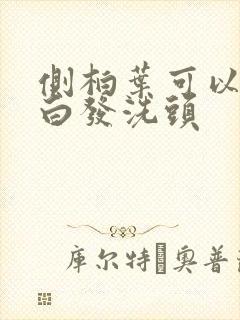 侧柏叶可以调理白发洗头封面