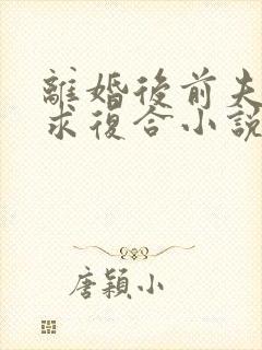 离婚后前夫哭着求复合小说