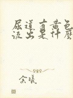 尿道有黄色粘液流出是什么原因