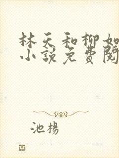 林天和柳如烟的小说免费阅读