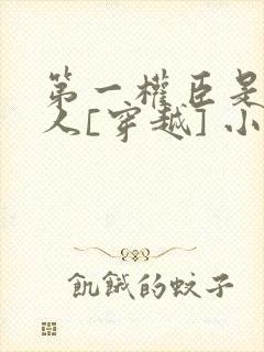 第一权臣是病美人[穿越] 小说封面