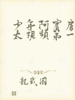 少年阿宾房东太太视频第一集