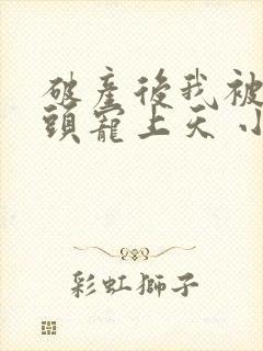 破产后我被死对头宠上天 小说封面