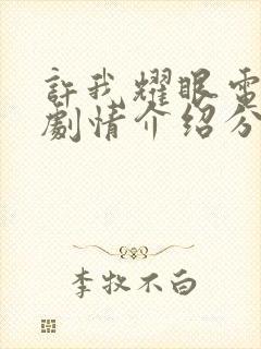 许我耀眼电视剧剧情介绍分集