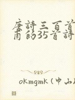 唐诗三百首中杜甫的35首诗