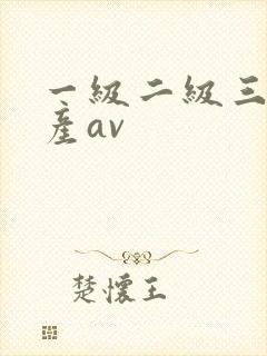 一级二级三级国产av