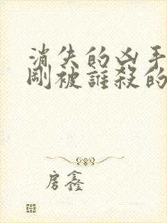 消失的凶手段志刚被谁杀的