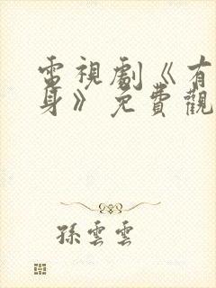 电视剧《有罪之身》免费观看