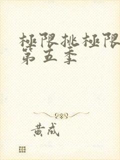 极限挑极限挑战第五季