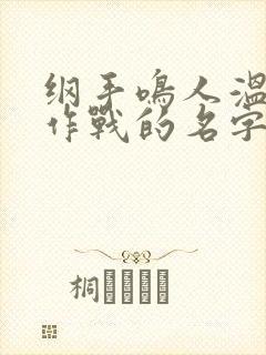 纲手鸣人温泉大作战的名字是什么