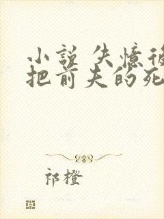 小说 失忆后错把前夫的死对头当老公