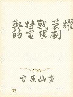 与特战荣耀类似的电视剧