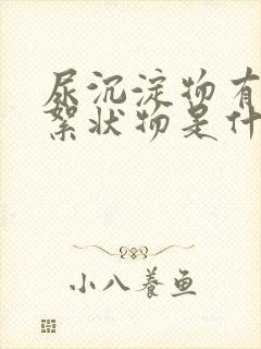 尿沉淀物有白色絮状物是什么原因