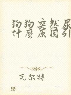 狗狗突然尿血是什么原因引起的