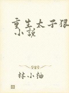 重生太子狠勾人 小说封面