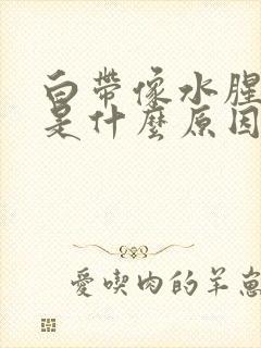 白带像水腥臭味是什么原因