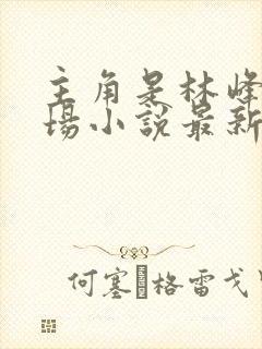 主角是林峰的官场小说最新章节更新内容