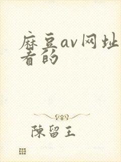 麻豆av网址能看的