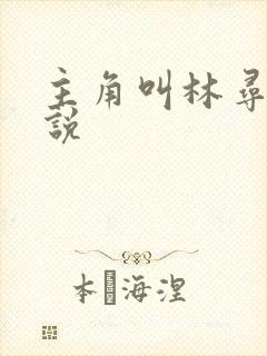 主角叫林寻的小说