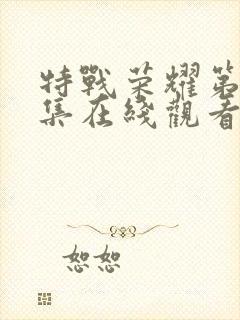 特战荣耀第13集在线观看封面