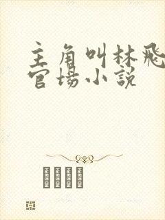 主角叫林飞杨的官场小说封面