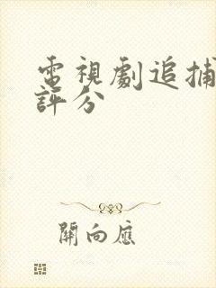 电视剧追捕豆瓣评分封面