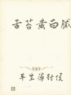 舌苔黄白腻齿痕