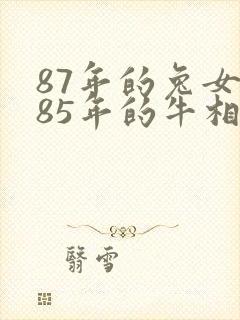 87年的兔女和85年的牛相配吗