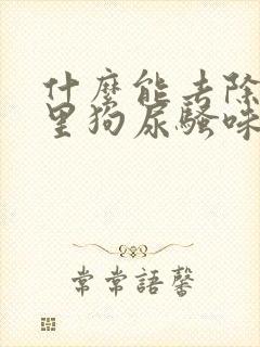 什么能去除房间里狗尿骚味