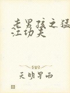 老男孩之猛龙过江功夫