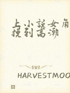 上小说女角色被摸到高潮