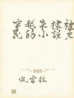 穿越朱棣被贬农民的小说免费阅读